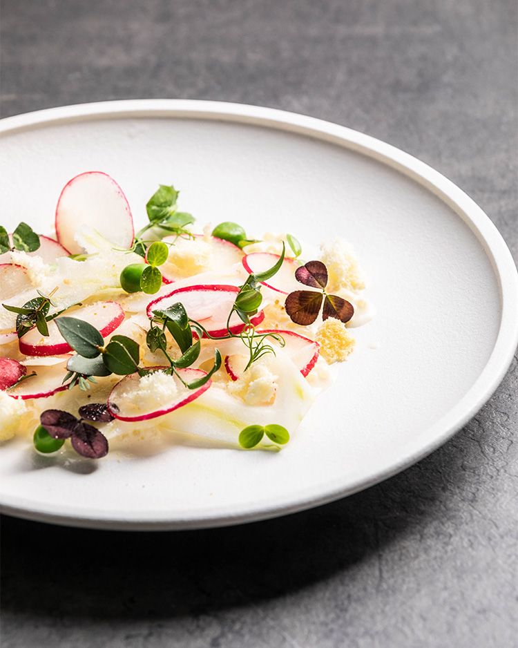 6 tips for dressing your plate like in the restaurant-Snow Collection