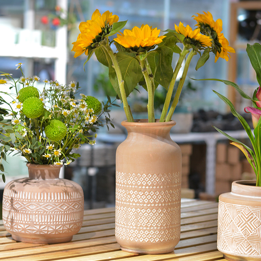 Choosing-the-right-ceramic-pot-for-each-plant(3)